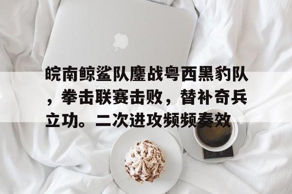 中心官方网站 皖南鲸鲨队鏖战粤西黑豹队，拳击联赛击败，替补奇兵立功。二次进攻频频奏效